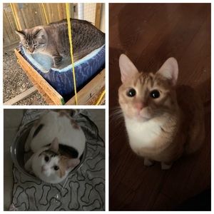 Meet your Posher, Tammy